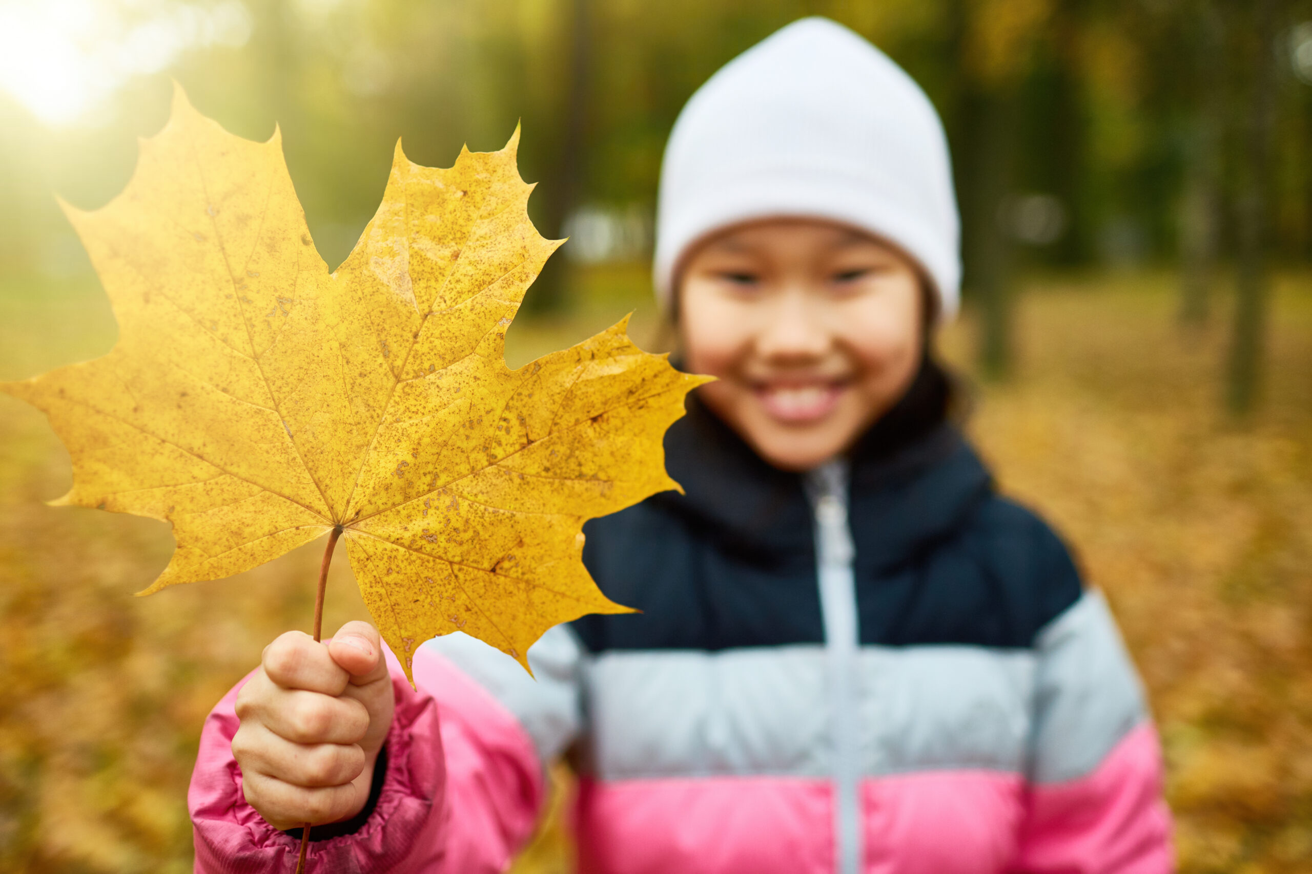 Yellow maple leaf held by schoolgirl during chill in autumn park in October